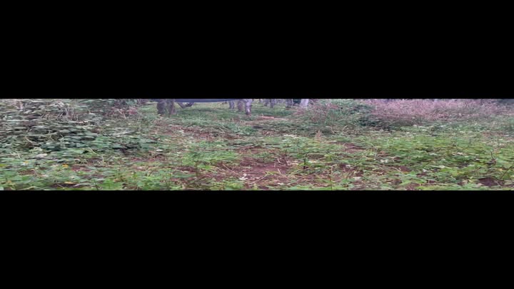 Đất nền Nhơn Hòa 3600m² giá thỏa thuận - Gần khu dân cư!