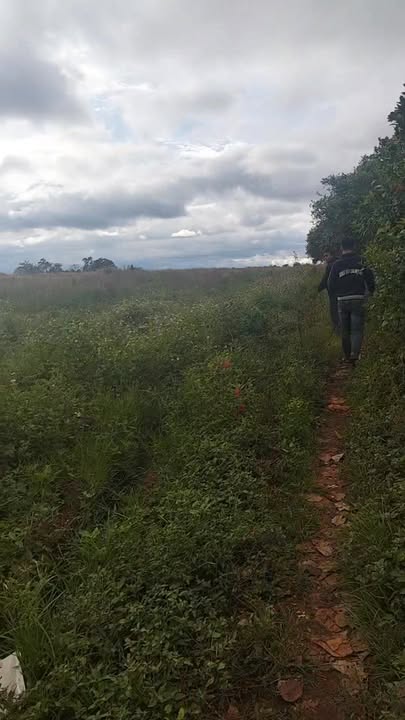 Đất nền nông nghiệp 2.8ha tại làng Deng, Gia Lai giá 3.1 tỷ - Pháp lý rõ ràng!