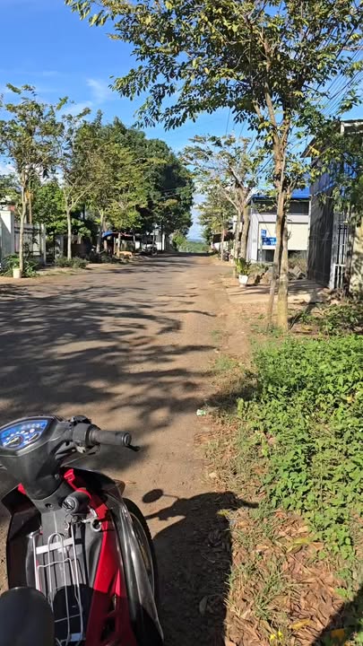 Đất thổ cư mặt tiền đường Hoàng Hoa Thám, Chư Sê, 600m² - Giá chỉ 1.55 tỷ!