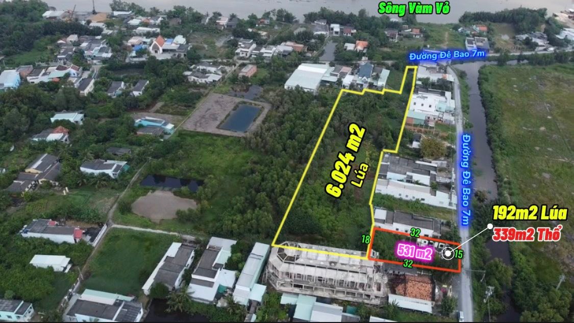 Đất diện tích lớn 6555m² tại Long Hựu Đông, Cần Đước - Tiềm năng đầu tư tuyệt vời!