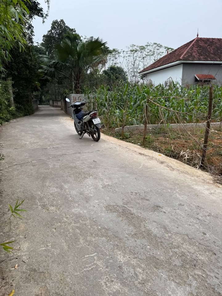 Đất thổ cư Tam Sơn 129m² giá chỉ vài trăm triệu - Đường thông thoáng gần KCN!