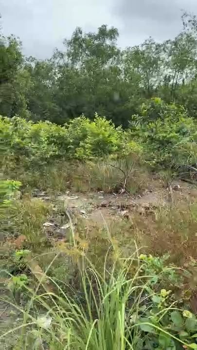 Đất nền mặt tiền đường Liên Ấp 2-3 Hiệp Phước 960m² giá 7.6 tỷ - Cơ hội đầu tư hiếm có!