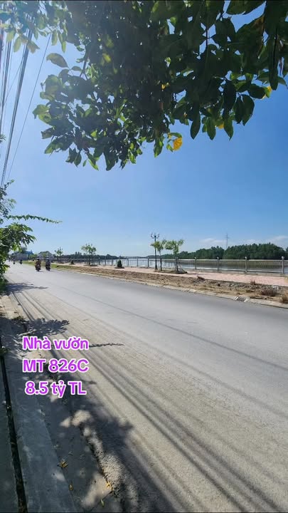 Nhà vườn mặt tiền 826C, Cần Giuộc, Long An 252m² - Không gian nghỉ dưỡng lý tưởng!