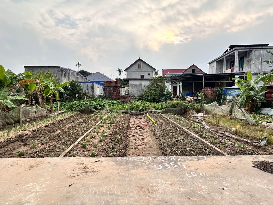 Đất nền đẹp tại Văn Xá, Quốc Tuấn, 60m² giá chỉ 700 triệu - Tiềm năng đầu tư cao!