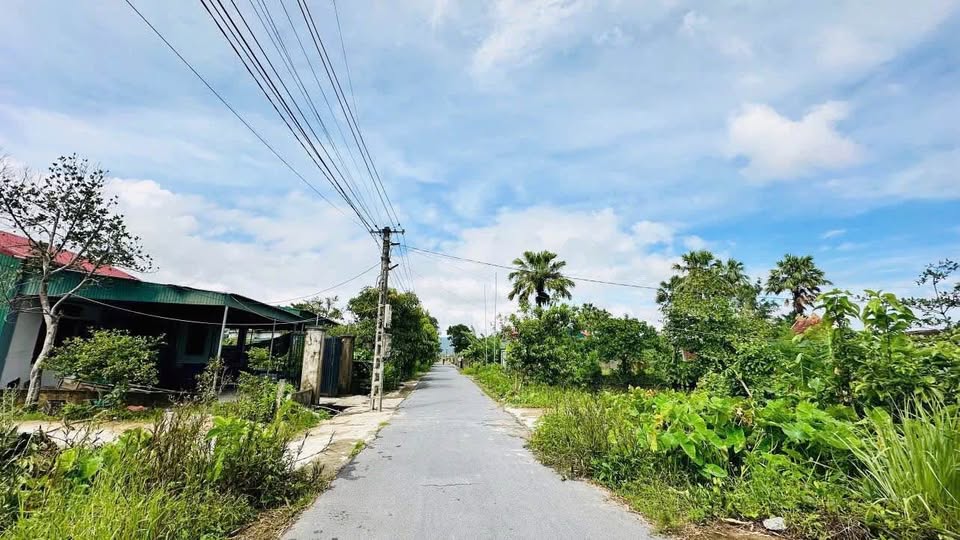 Đất nền đầu tư Thôn Tiến Bộ, Tân Lâm Hương 259.9m² giá 2 tỷ - Cơ hội sinh lời hấp dẫn!