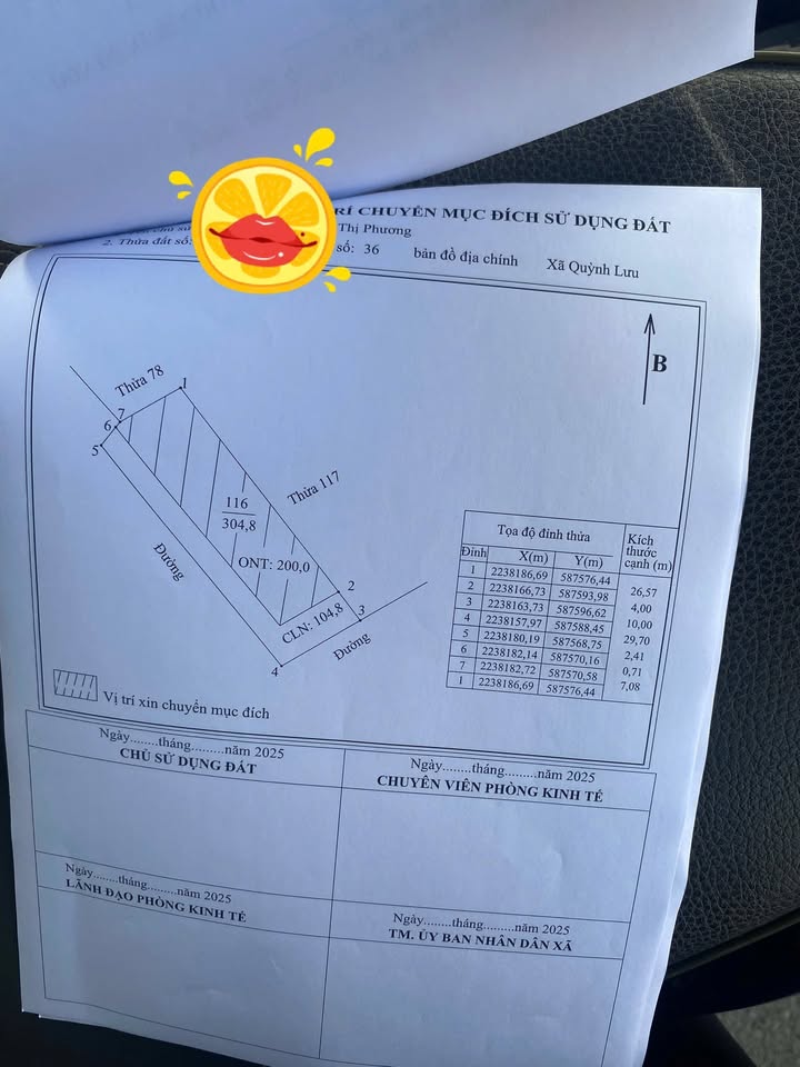 Đất nền Quỳnh Lưu Ninh Bình 200m² - Giá rẻ, hai mặt tiền!