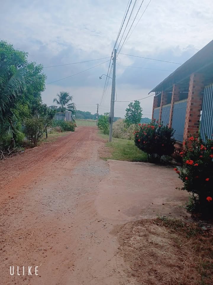 Đất thổ cư 215m² tại Dương Minh Châu, Tây Ninh - Sổ đỏ chính chủ, giá chỉ 379 triệu!