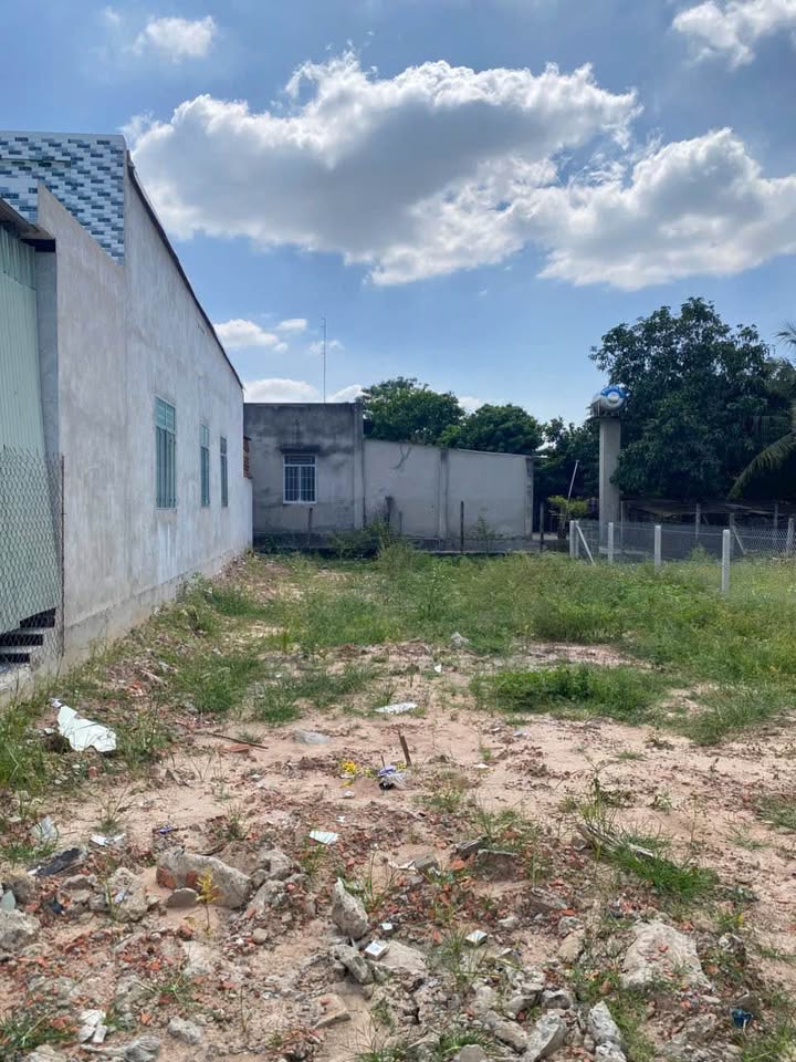 Đất đẹp mặt tiền đường nhựa 250m² tại Gò Dầu, Tây Ninh - Giá chỉ 990 triệu!