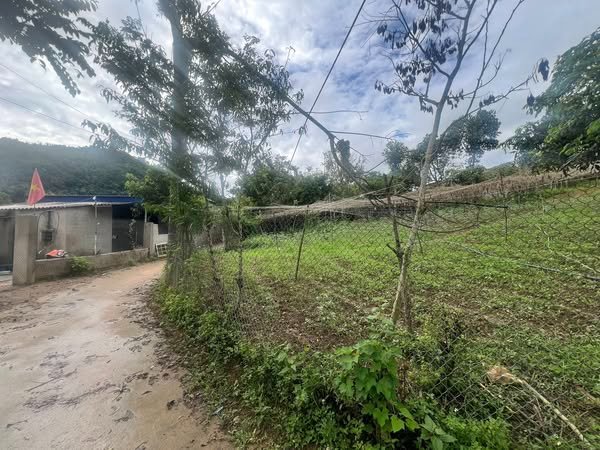 Đất vườn nghỉ dưỡng Bản Híp, Chiềng Ngần 1.600m² giá 600 triệu - View hồ thoáng đãng!