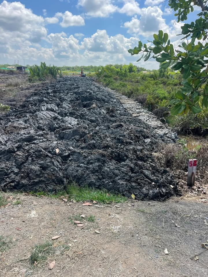 Đất vườn 500m² Hiệp Phước Nhà Bè 2.7 tỷ - Sổ hồng chính chủ, đầu tư sinh lời!