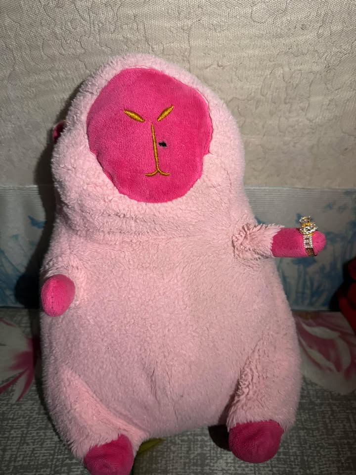 Nhà mặt tiền Ngô Mây, Quy Nhơn 105m² giá 10 triệu - Phù hợp làm văn phòng, spa!