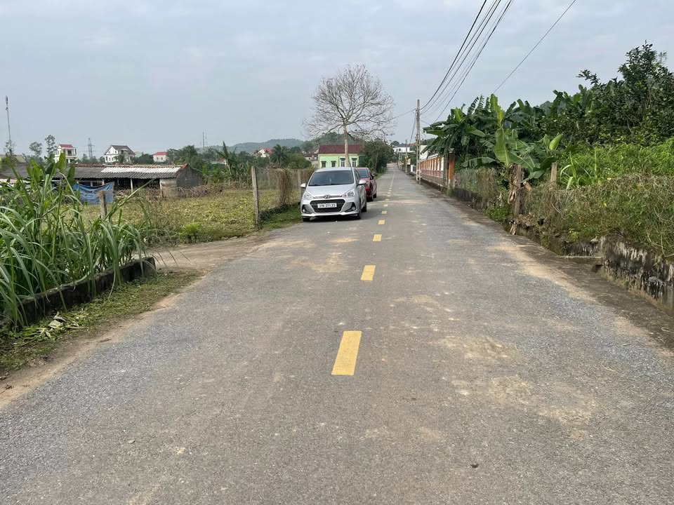 Đất nền Nam Đàn 200m² giá chỉ 100 triệu - Đầu tư sinh lời ngay!