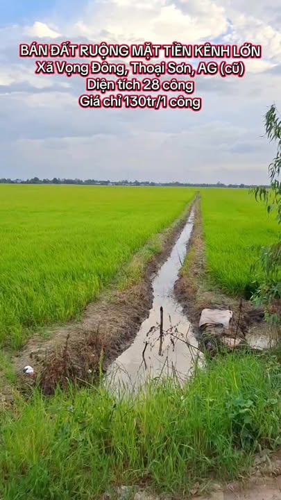 Đất ruộng mặt tiền kênh lớn Vọng Đông, Thoại Sơn, An Giang - Chỉ 3.64 tỷ!