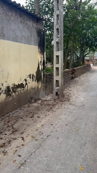 Đất nền Nguyệt Đức, Yên Lạc, 900m² giá 9 tỷ - Cơ hội đầu tư lý tưởng!