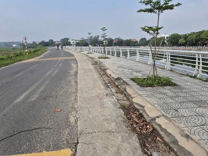 Đất nền Định Trung Vĩnh Yên 175.5m² giá 1 tỷ - Diện tích vuông vức, vị trí đắc địa!