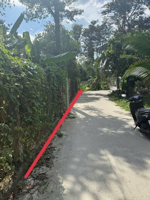 Vườn trái cây Lái Thiêu 330m² giá 6 tỷ - Đường thông xe 7 chỗ!