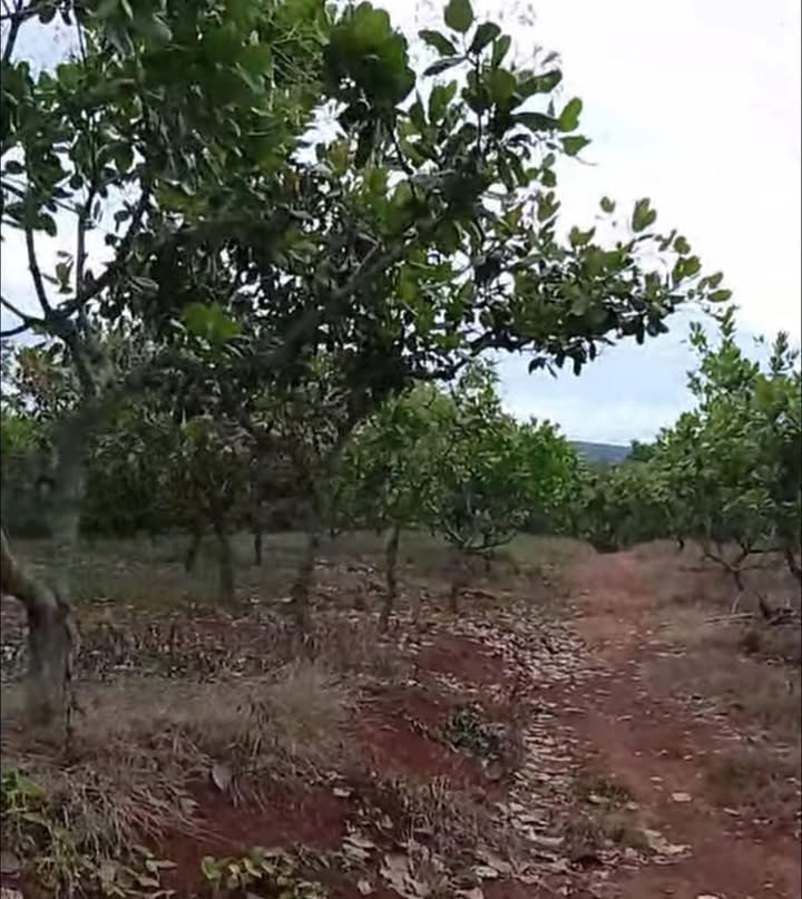 Đất nền Phước Tân 18.000m² giá 2.35 tỷ - Cơ hội đầu tư hấp dẫn!