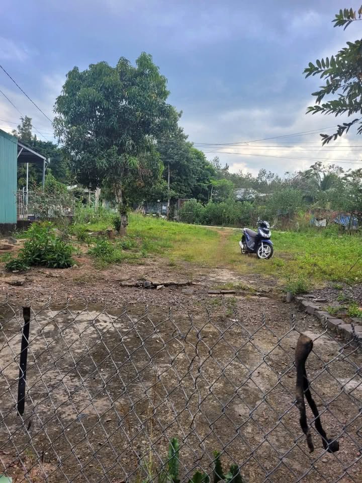 Nhà riêng Khu phố 4, Tiến Thành 200m² giá 800 triệu - Đầu tư sinh lời ngay!