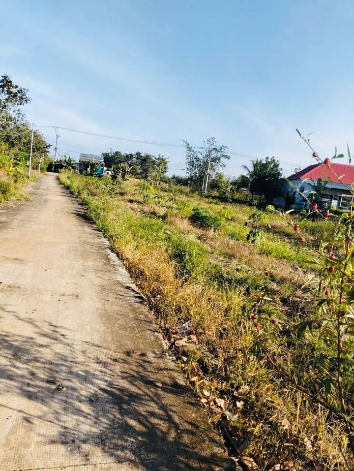 Đất nền Tân Phước 208m² giá 360 triệu - Khu vực phát triển tiềm năng!