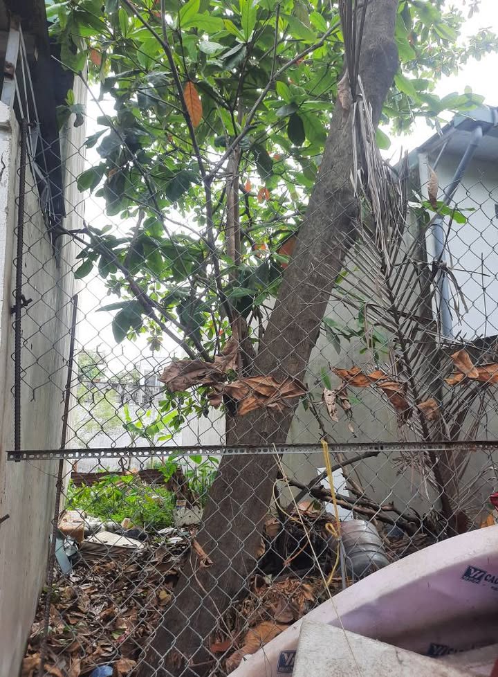 Đất nền 70m² phường Trường Thọ, Thủ Đức chỉ 4.39 tỷ - Sổ hồng riêng, xây mới ngay!