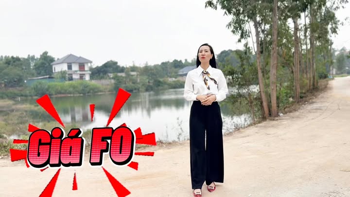 Đất nền thổ cư 80m² thôn Mé, Tam Dương chỉ 700 triệu - Siêu phẩm view hồ điều hòa!