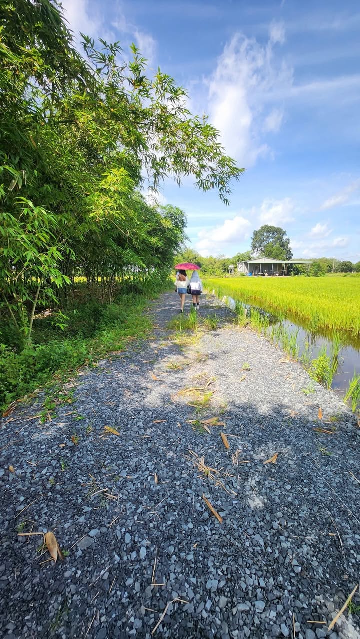 Đất thổ cư 175m² xã Dương Minh Châu, giá chỉ 235 triệu - Đầu tư sinh lời ngay!