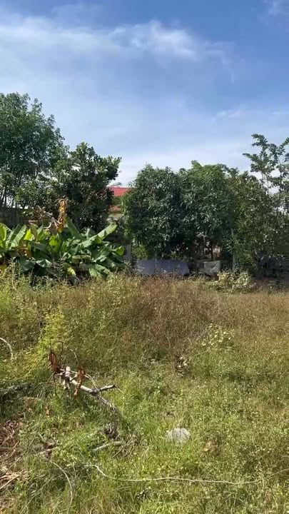 Đất thổ cư Tiên Thuận Bến Cầu 410m² giá 670 triệu - Đầu tư sinh lời tốt!