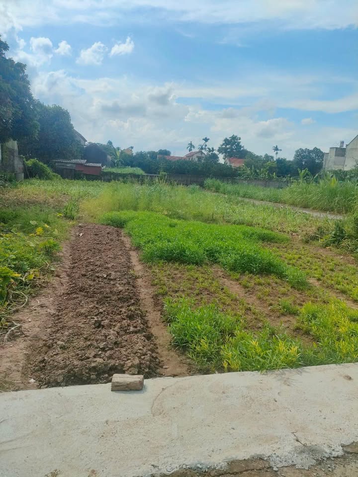 Đất nền Hùng An Kim Động 1250m² giá 7.5 tỷ - Cơ hội đầu tư sinh lời