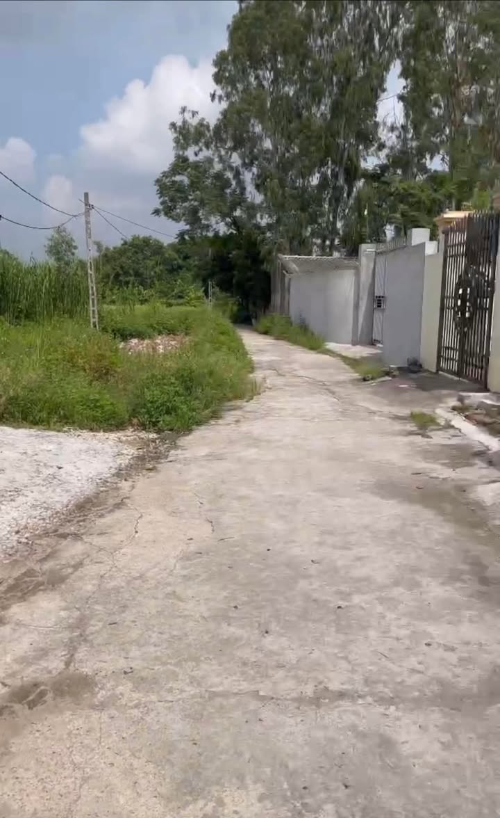 Đất nền Hiệp Cường Kim Động 150m² giá 1.8 tỷ - Hàng hiếm, vị trí thuận lợi!