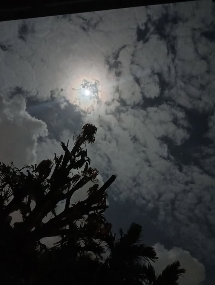 Đất mặt tiền Nguyễn Đình Chiểu, Quảng Ngãi 1325m² giá 18 tỷ - Đầu tư sinh lời ngay!