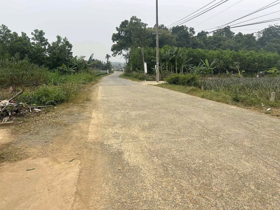 Đất nền Minh Tiến Ngọc Lặc 100m² giá 4xx - Vị trí thông thoáng, tiện ích đầy đủ!