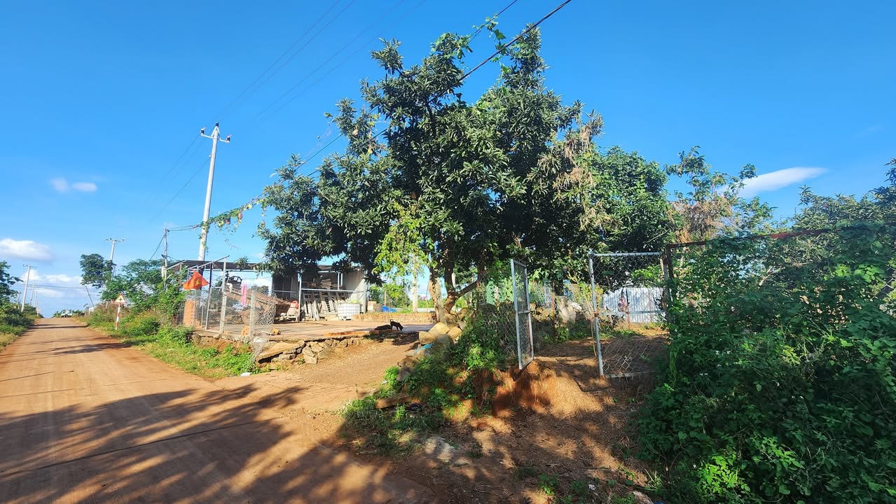 Đất nền 500m² Ea Kao, Buôn Ma Thuột - Giá chỉ 780 triệu, cơ hội đầu tư tuyệt vời!