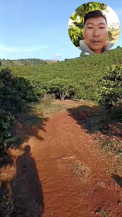 Đất nền Đắk R'Tih 3.3ha giá 3.3 tỷ - Đầu tư sinh lời ngay!