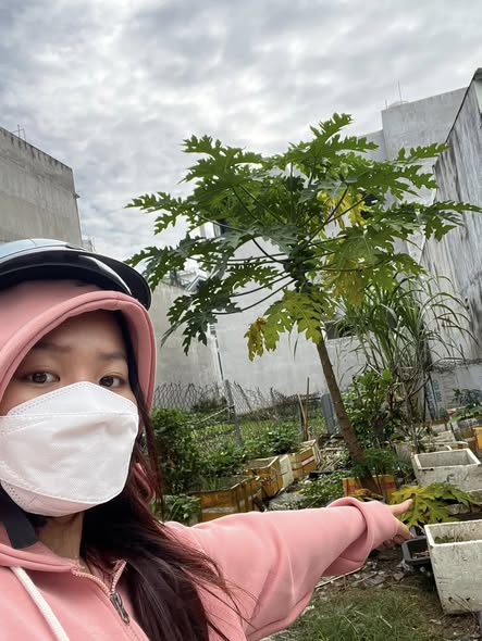 Đất mặt tiền Lê Văn Việt Q9 - 130m² giá 7 tỷ - Đầu tư sinh lời hấp dẫn!