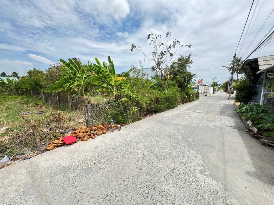 Đất nền Gò Công 210m² giá 2.5 tỷ - Vị trí đắc địa trung tâm!