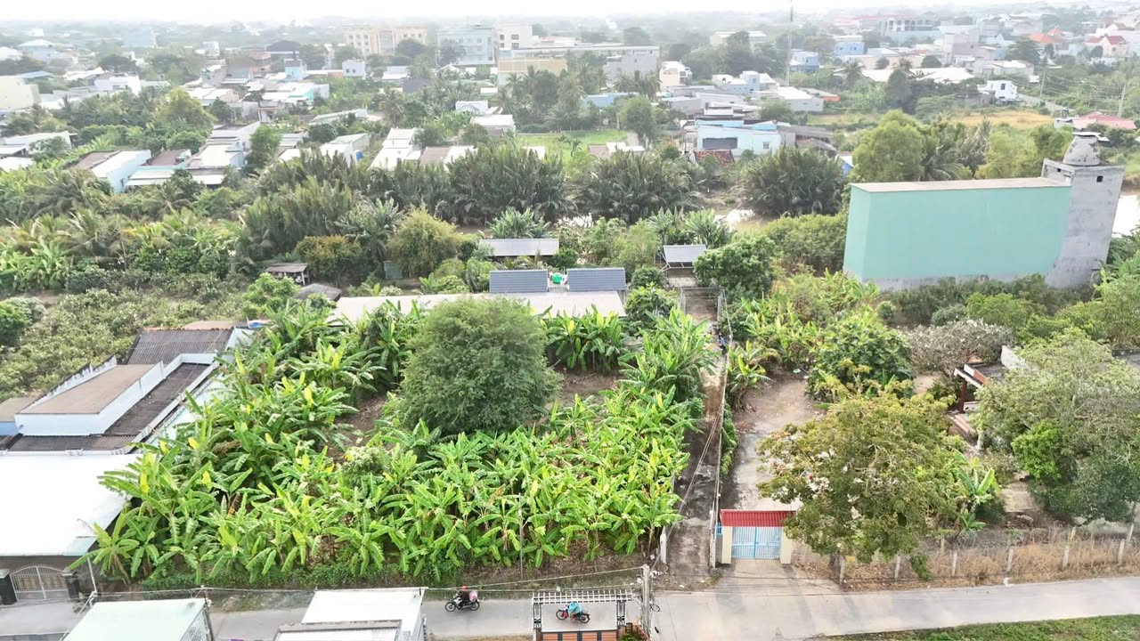 Nhà vườn Gò Công 1156m² giá 3.7 tỷ - View sông mát mẻ