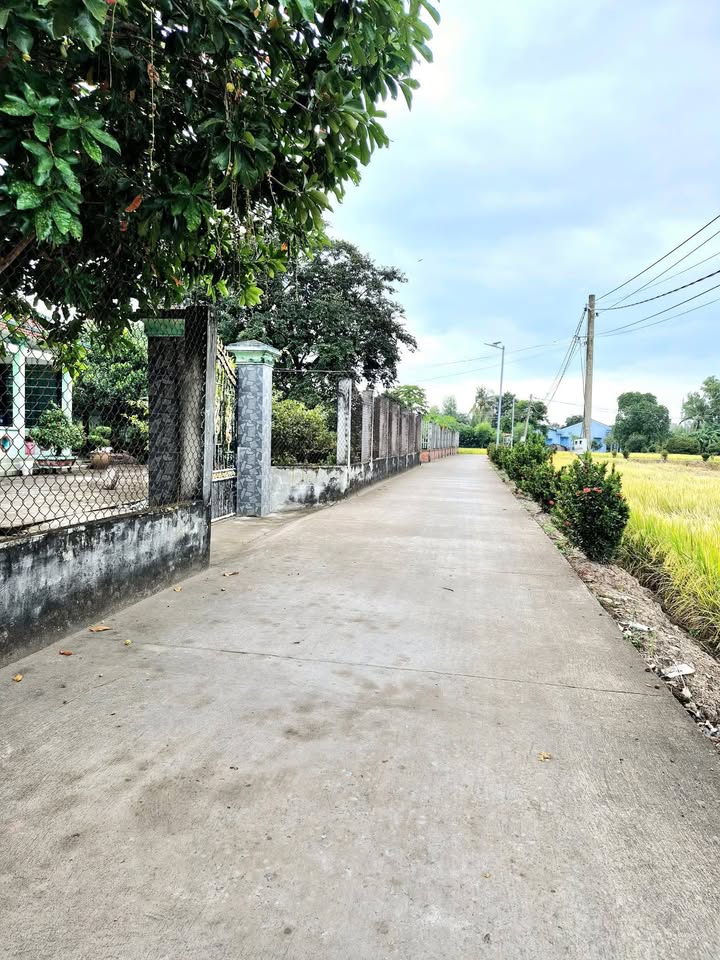 Đất nền Gò Công Tiền Giang 389m² giá 1.25 tỷ - Đầu tư sinh lời ngay!