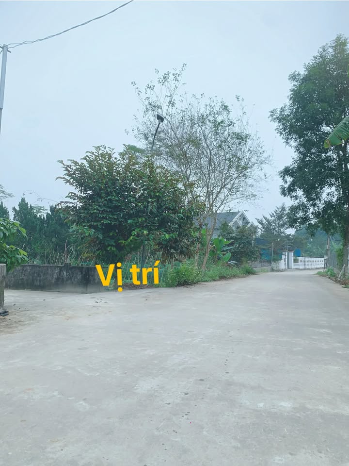 Lô đất Hợp Thành Triệu Sơn 165m² giá 9xx triệu - 2 mặt tiền bám trục chính