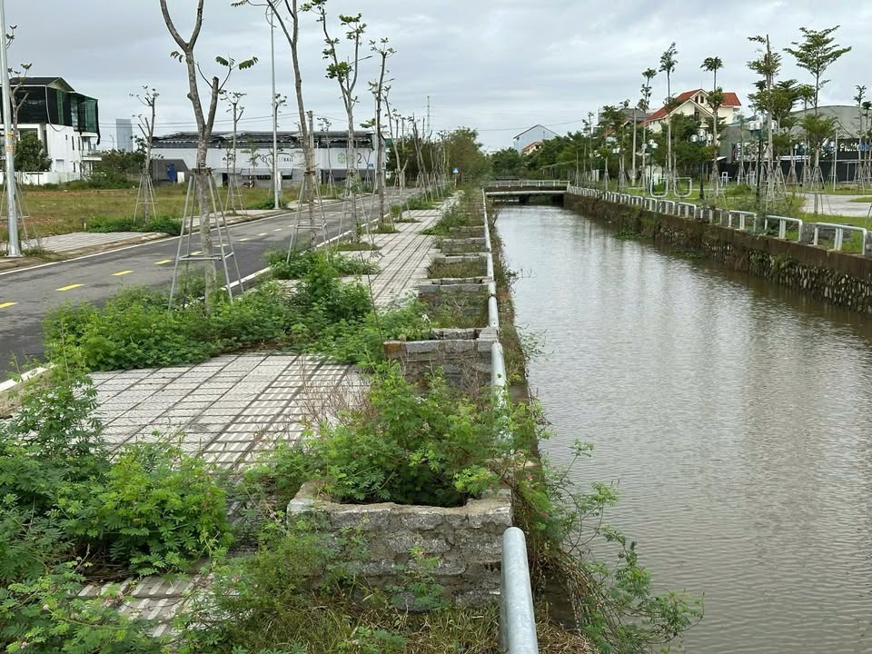 Đất Biệt Thự 300m² View Kênh Sinh Thái KQH Thủy Thanh - Giá chỉ 6 tỷ!