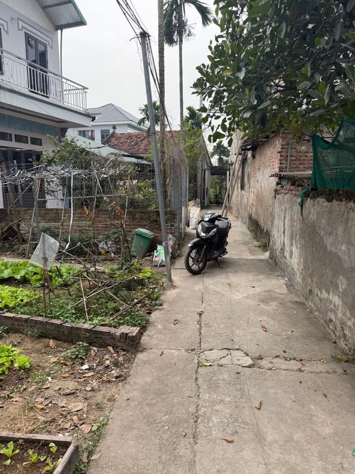 Đất đẹp Vĩnh Trung Đại Áng 70m² giá 5 tỷ - Sổ đỏ vuông vắn, mặt tiền 5m