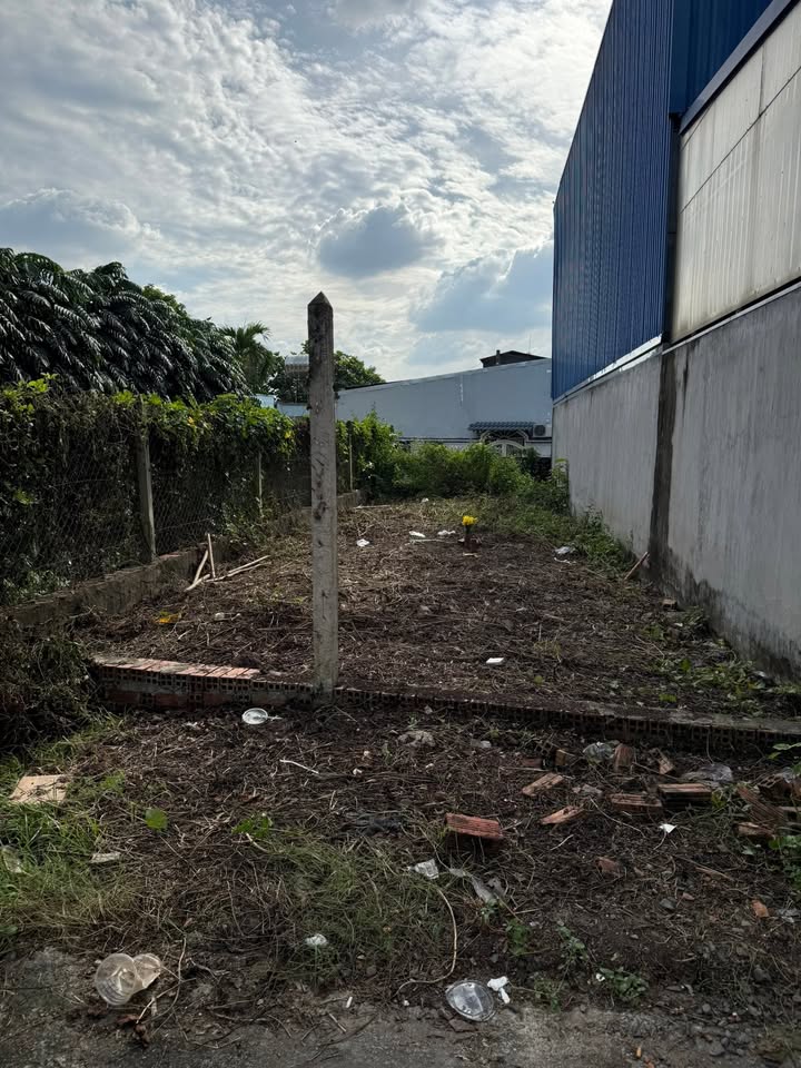 Đất thổ cư 105m² xã Tân Thạnh Đông, Củ Chi, giá 1.65 tỷ - Chính chủ bán gấp!