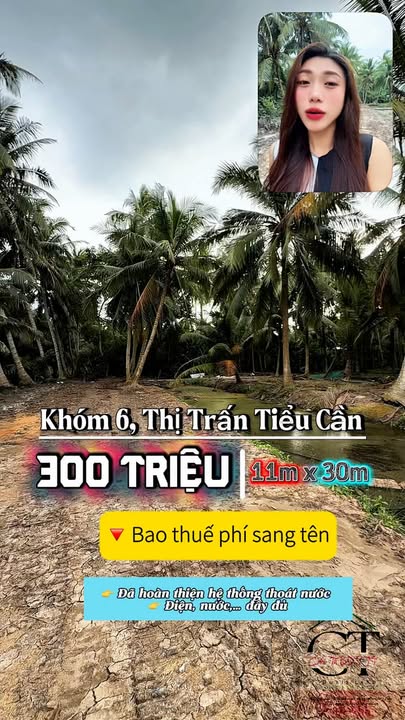Đất nền Tiểu Cần 330m² giá chỉ 300 triệu - Đầu tư sinh lời ngay!
