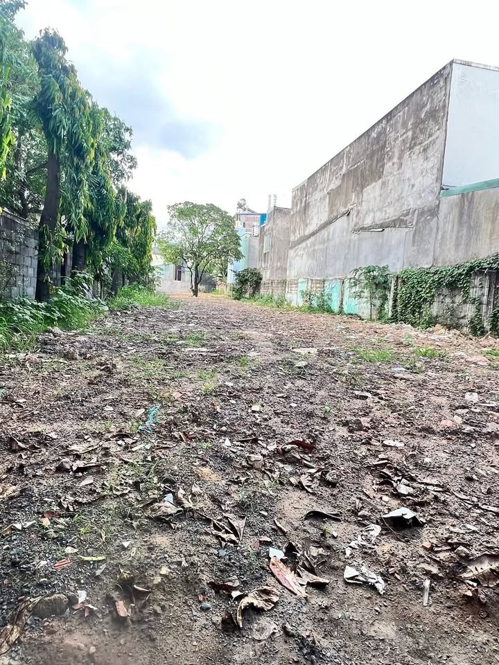 Lô đất biệt thự 655m² tại Trảng Dài, Biên Hòa - Giá tốt chỉ 8 tỷ!