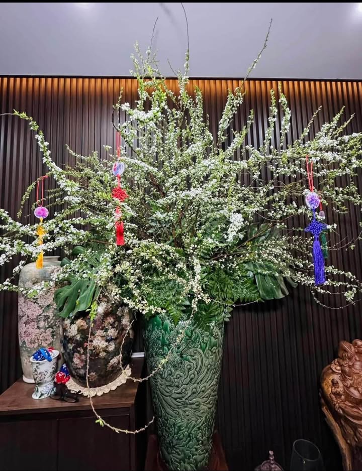 Căn hộ chung cư Tân Tây Đô Đan Phượng 55m² giá chỉ 6.5 triệu - Nhận nhà ngay!