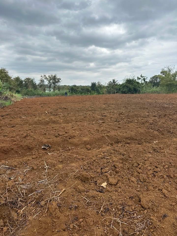 Đất trống thôn 8, xã Ea Kiết, huyện Cư M'gar 4600m² giá 920 triệu - Tiềm năng đầu tư lớn!