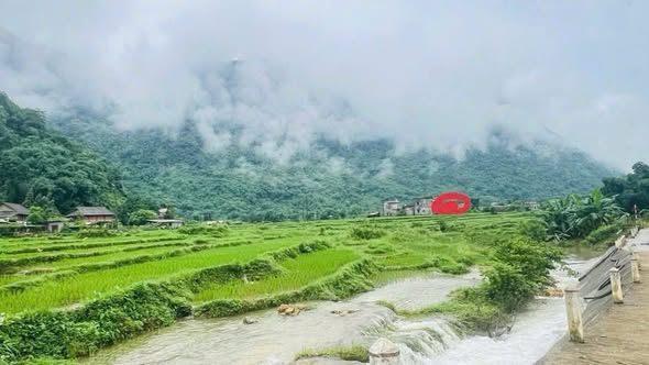 Đất nền Xóm Khời, Phú Cường 779.8m² giá 700 triệu - Cơ hội đầu tư hấp dẫn!