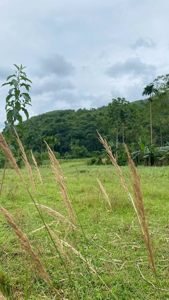 Đất nền xóm Cuôi, Kim Bôi 1760m² giá chỉ 1.1 tỷ - Đầu tư sinh lời ngay!