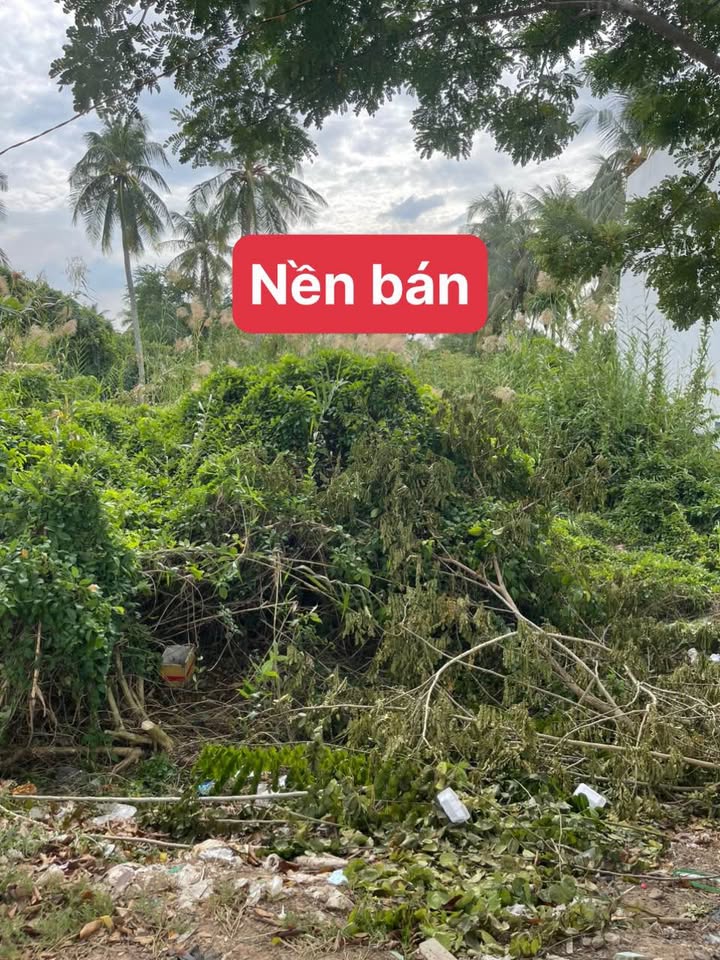 Đất nền chính chủ An Giang 101m² - Giá tốt thương lượng!