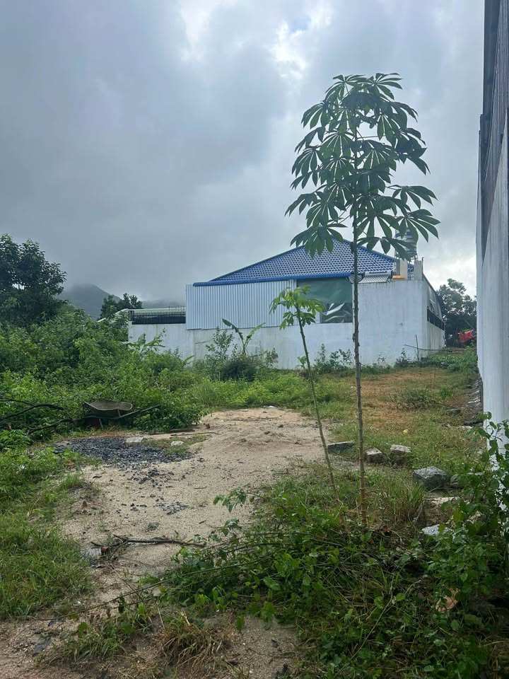 Đất nền thổ cư 200m² tại thôn Phước Lộc, Nha Trang - Giá 1.2 tỷ, Sổ đỏ chính chủ!