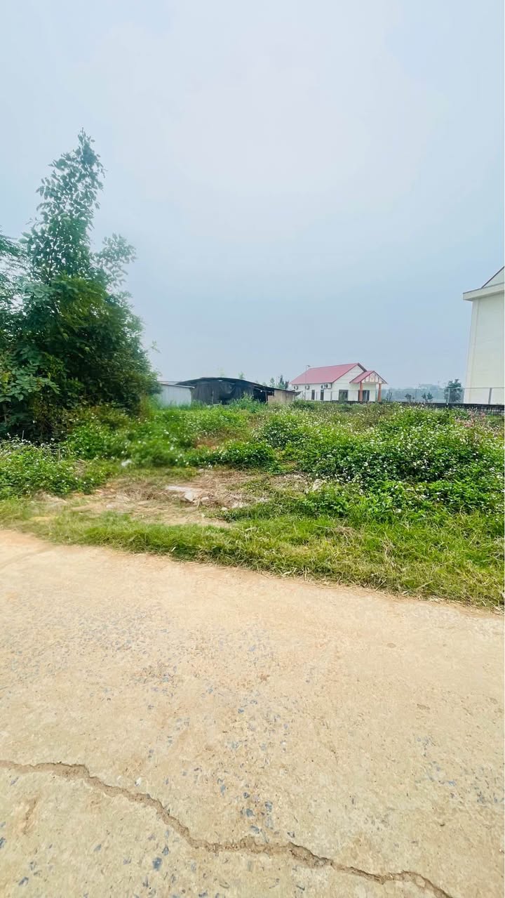 Đất nền khu phố 2, phường Phú Cát, 100m² giá 2.5 tỷ - Cơ hội đầu tư hấp dẫn!